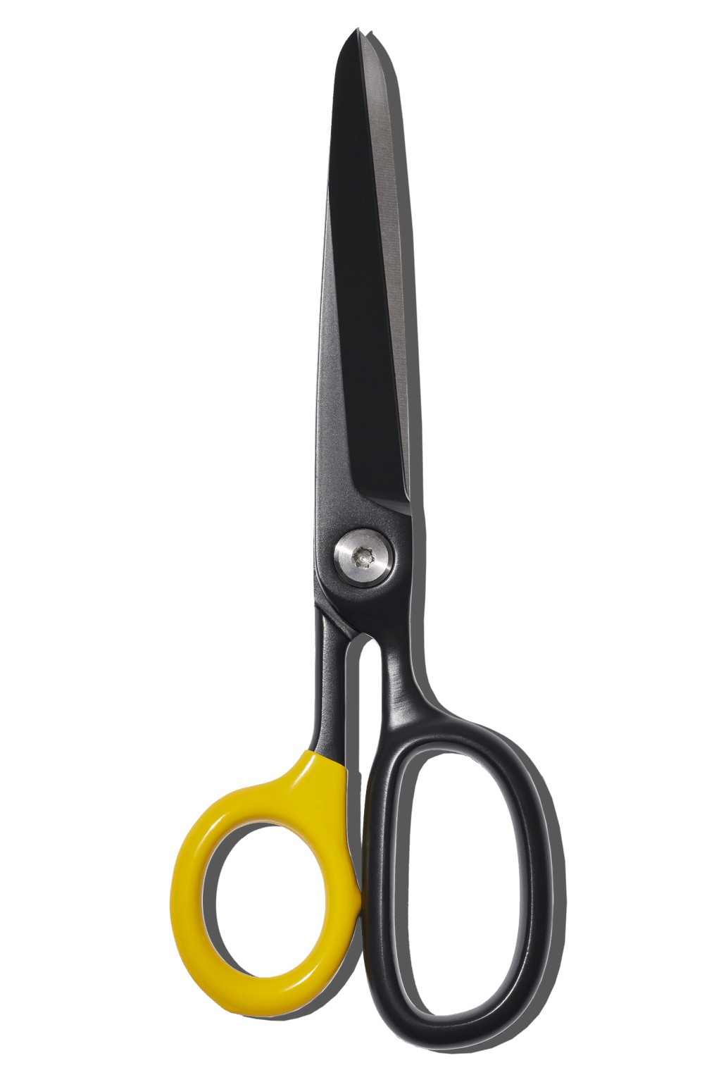 Craig Hill - Craig Hill Chroma Scissors - Papier Royal