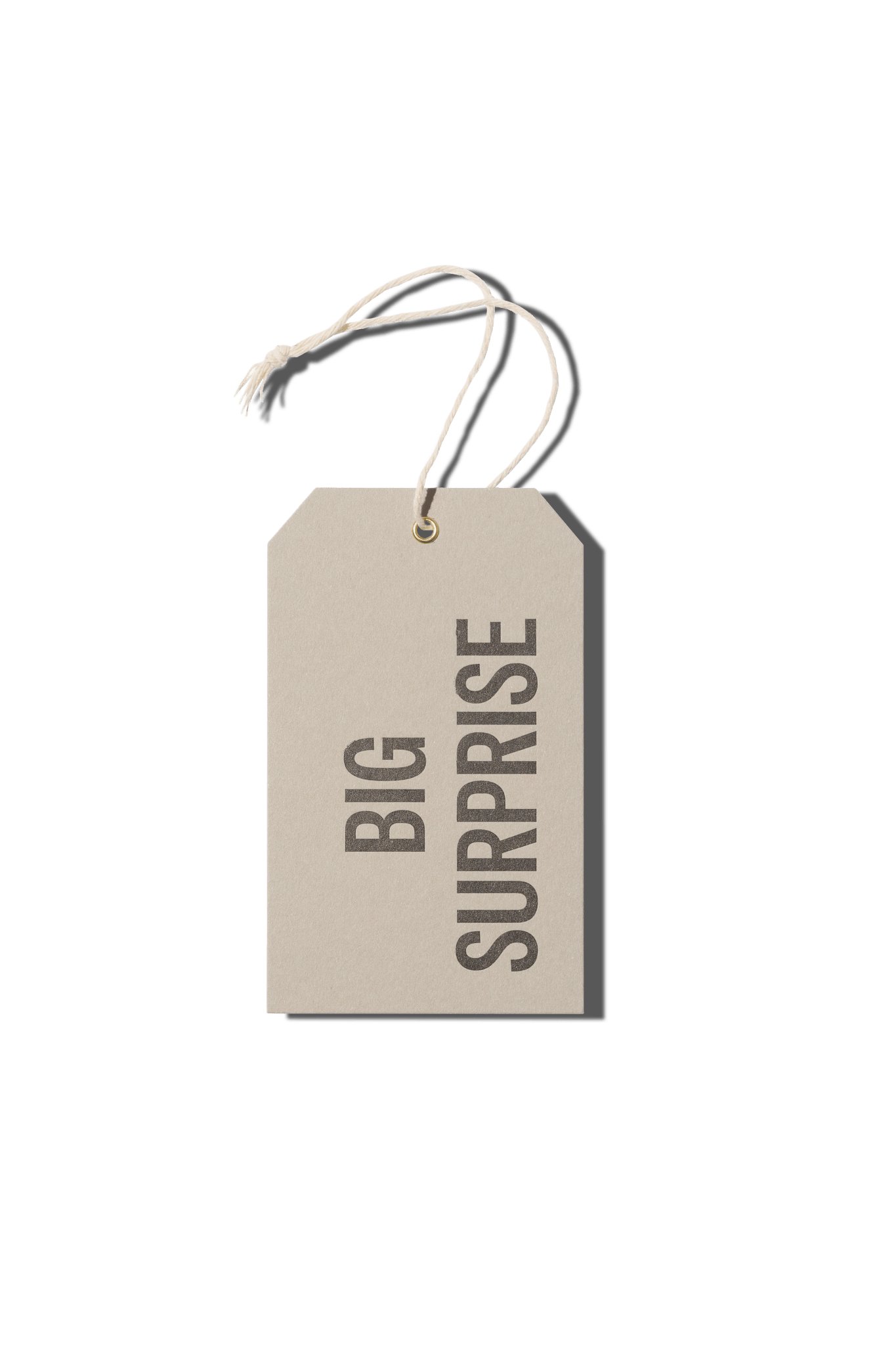 Papier Royal - Big Surprise Hang Tag - Papier Royal