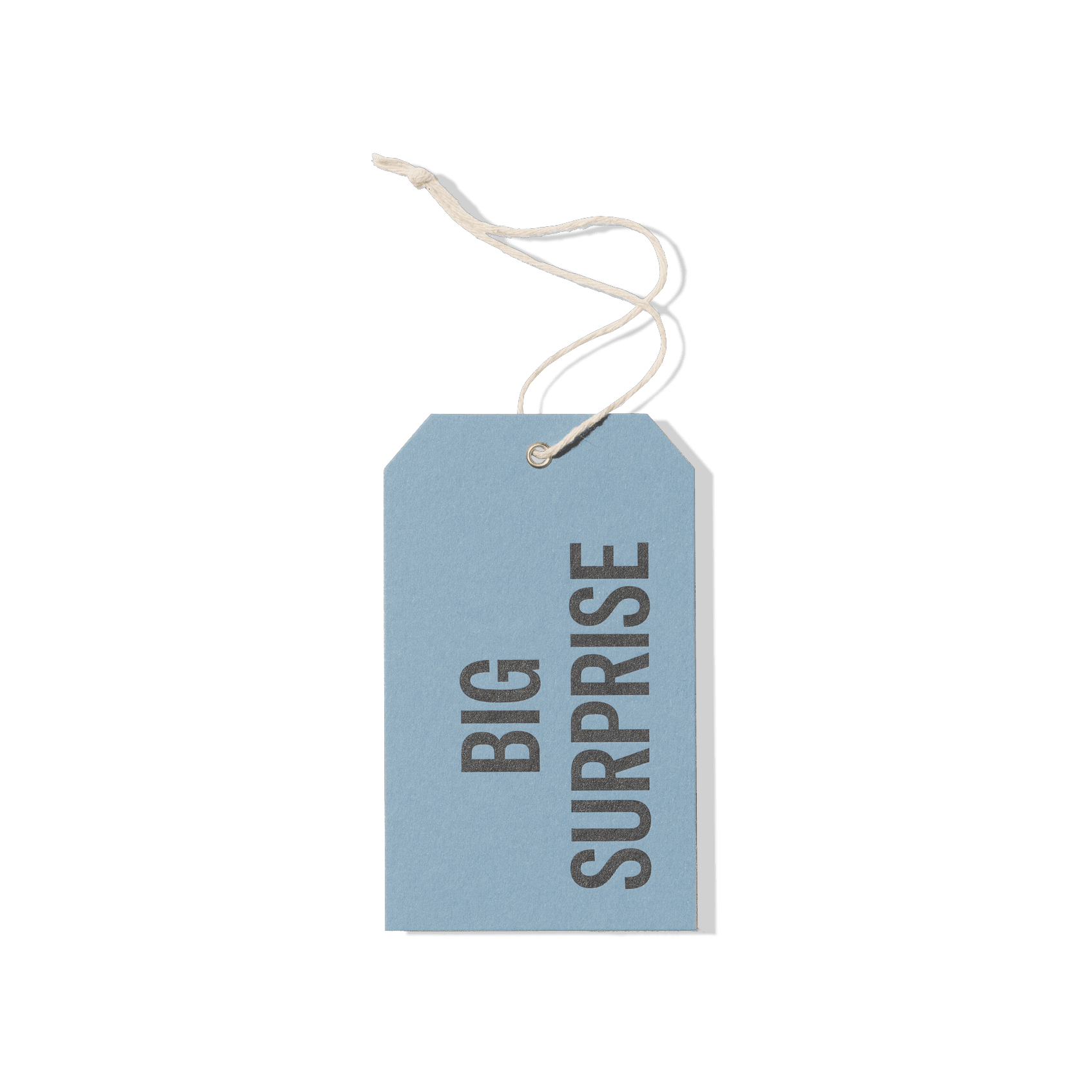 Papier Royal - Big Surprise Hang Tag - Papier Royal