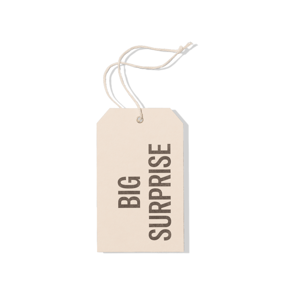 Papier Royal - Big Surprise Hang Tag - Papier Royal