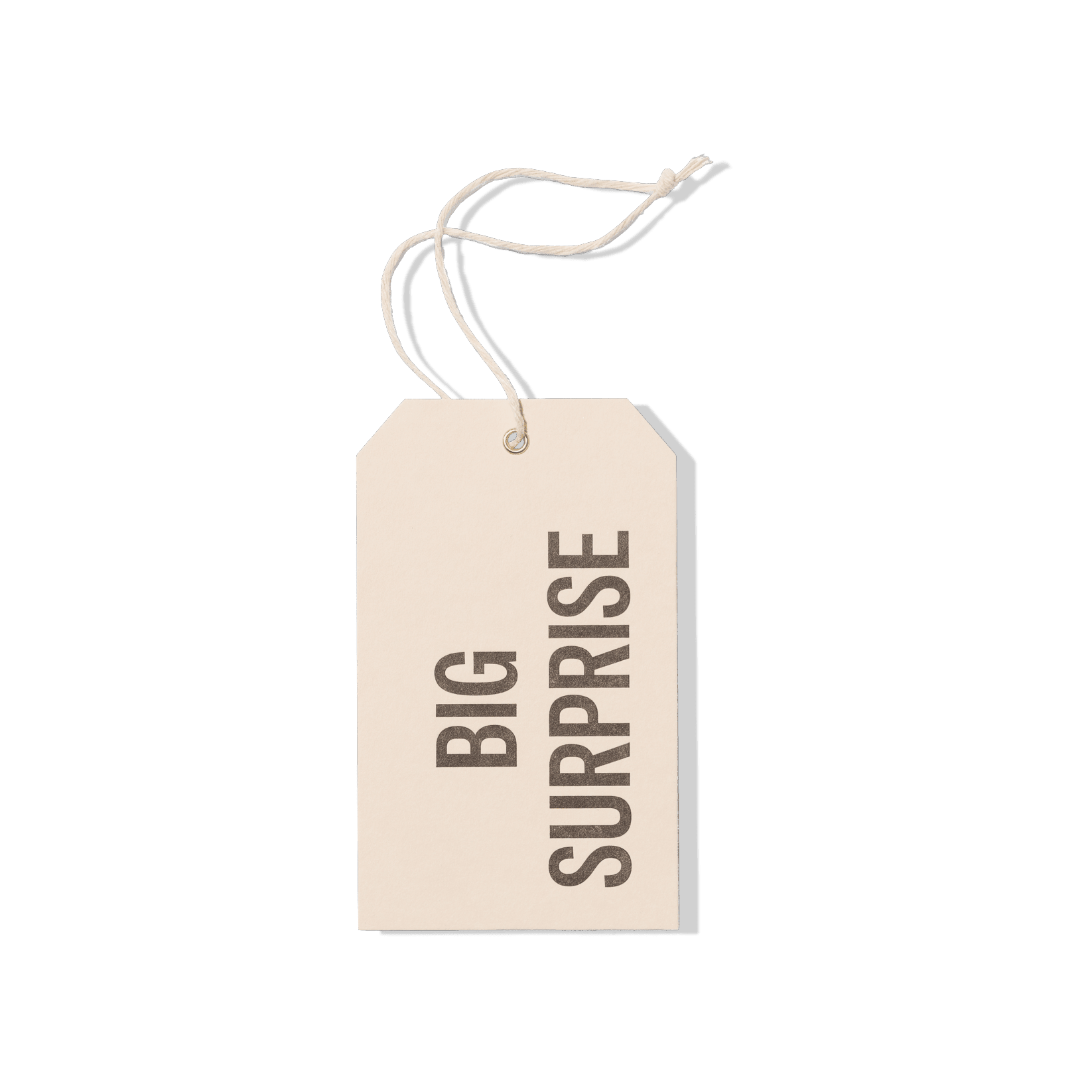 Papier Royal - Big Surprise Hang Tag - Papier Royal