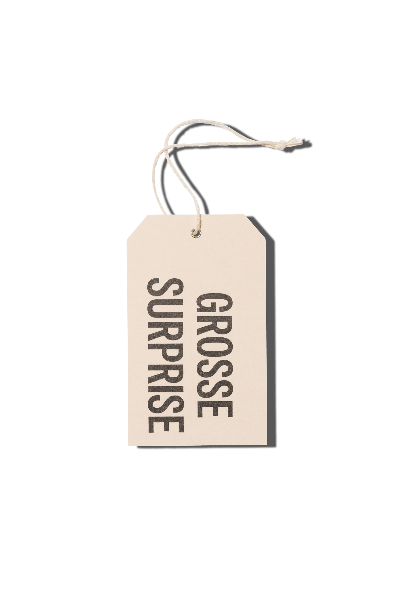 Papier Royal - Big Surprise Hang Tag - Papier Royal
