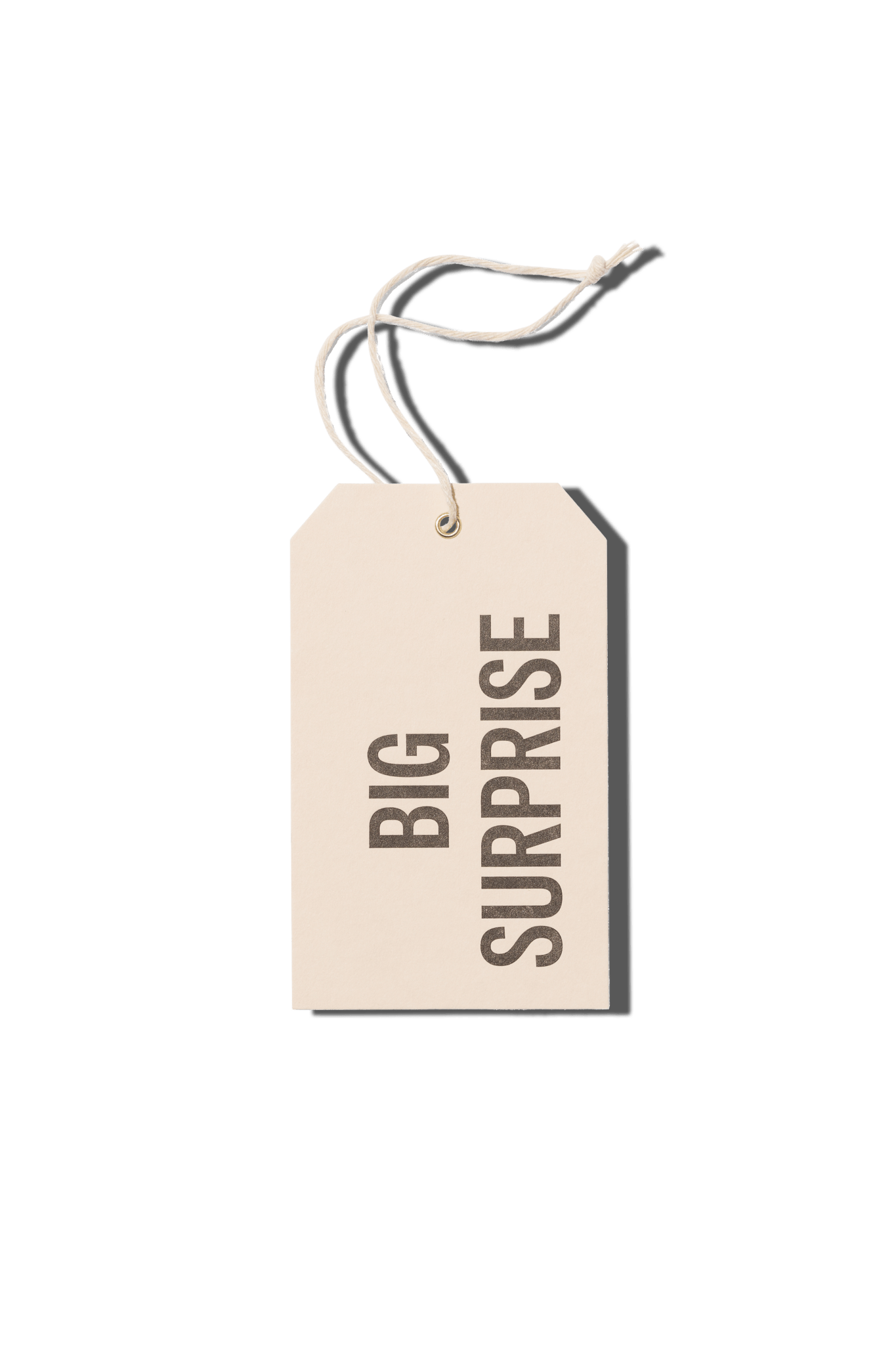 Papier Royal - Big Surprise Hang Tag - Papier Royal
