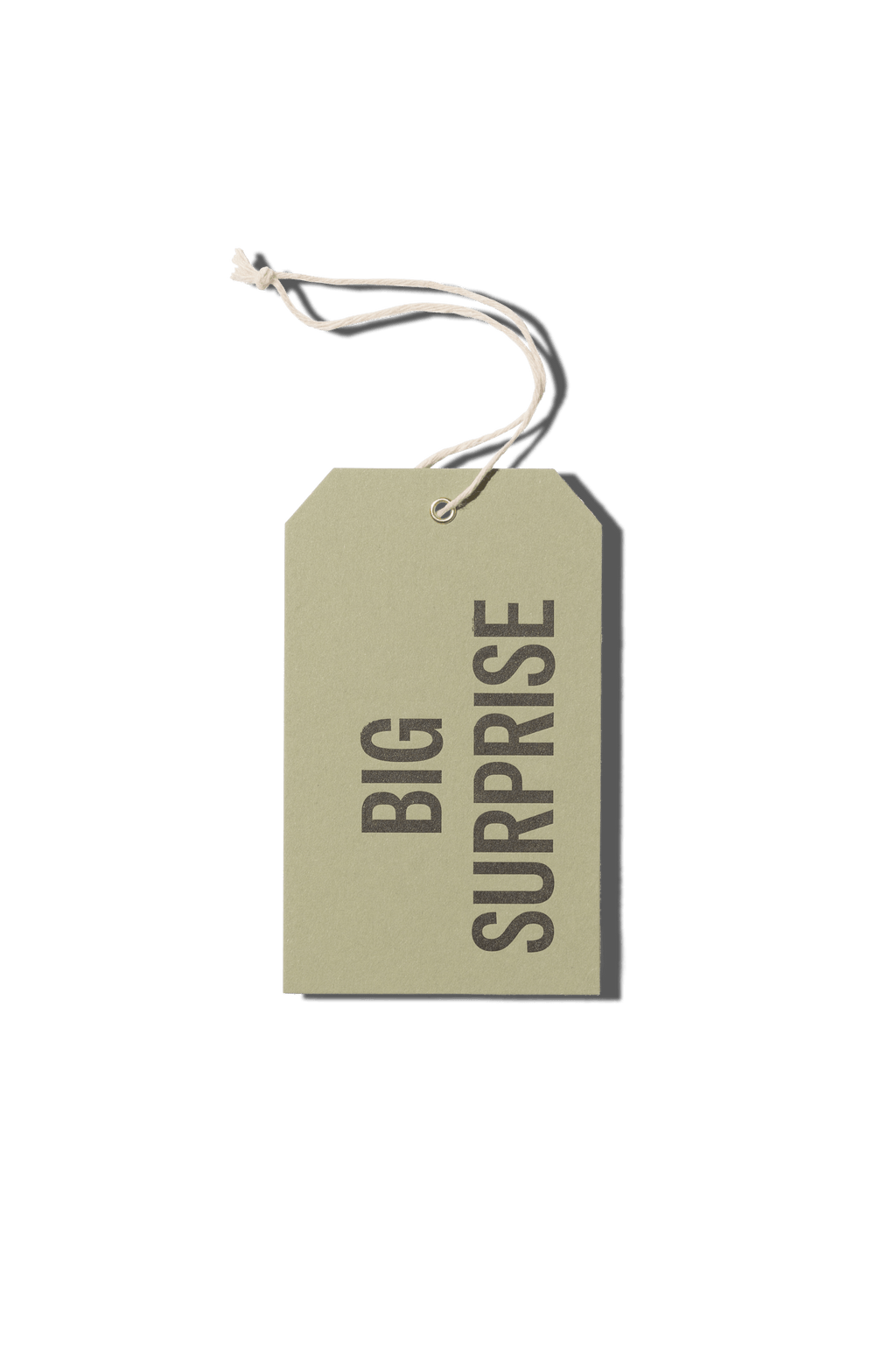 Papier Royal - Big Surprise Hang Tag - Papier Royal
