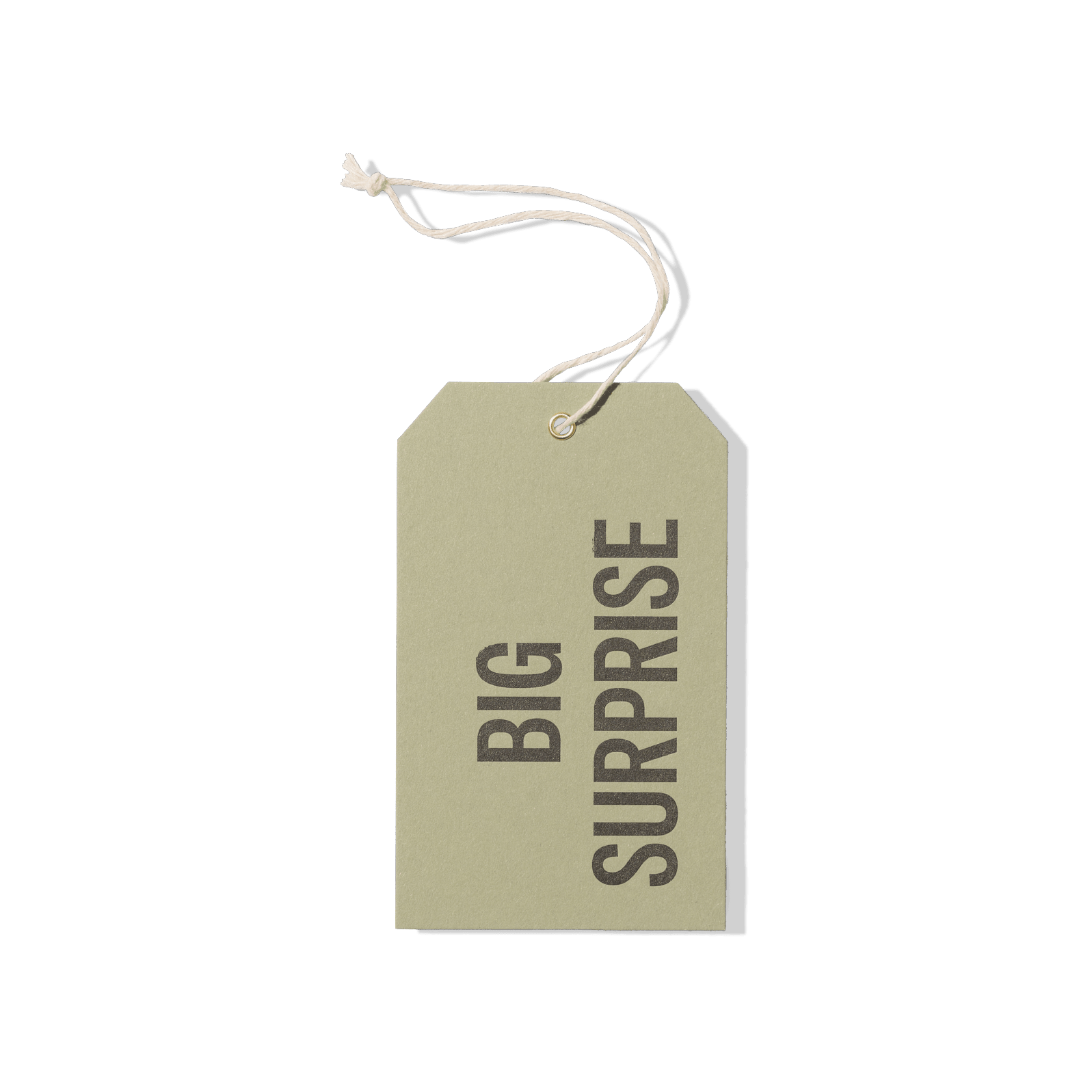 Papier Royal - Big Surprise Hang Tag - Papier Royal