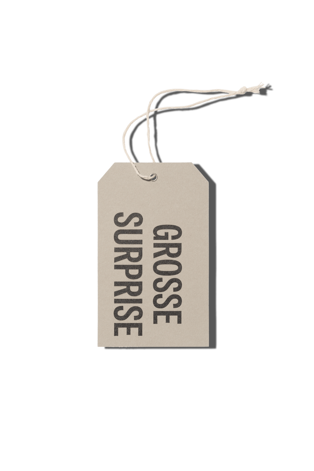 Papier Royal - Big Surprise Hang Tag - Papier Royal