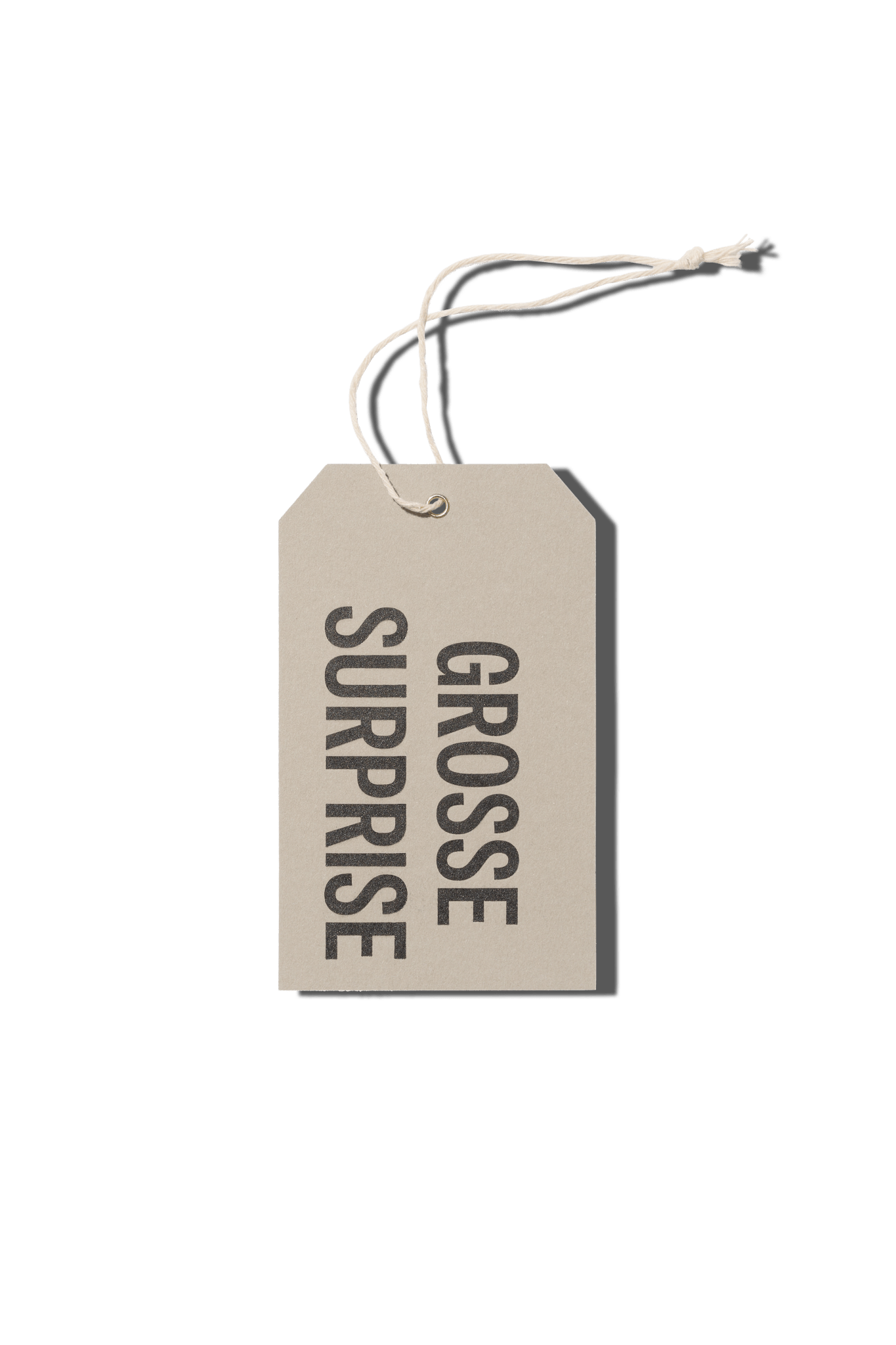 Papier Royal - Big Surprise Hang Tag - Papier Royal