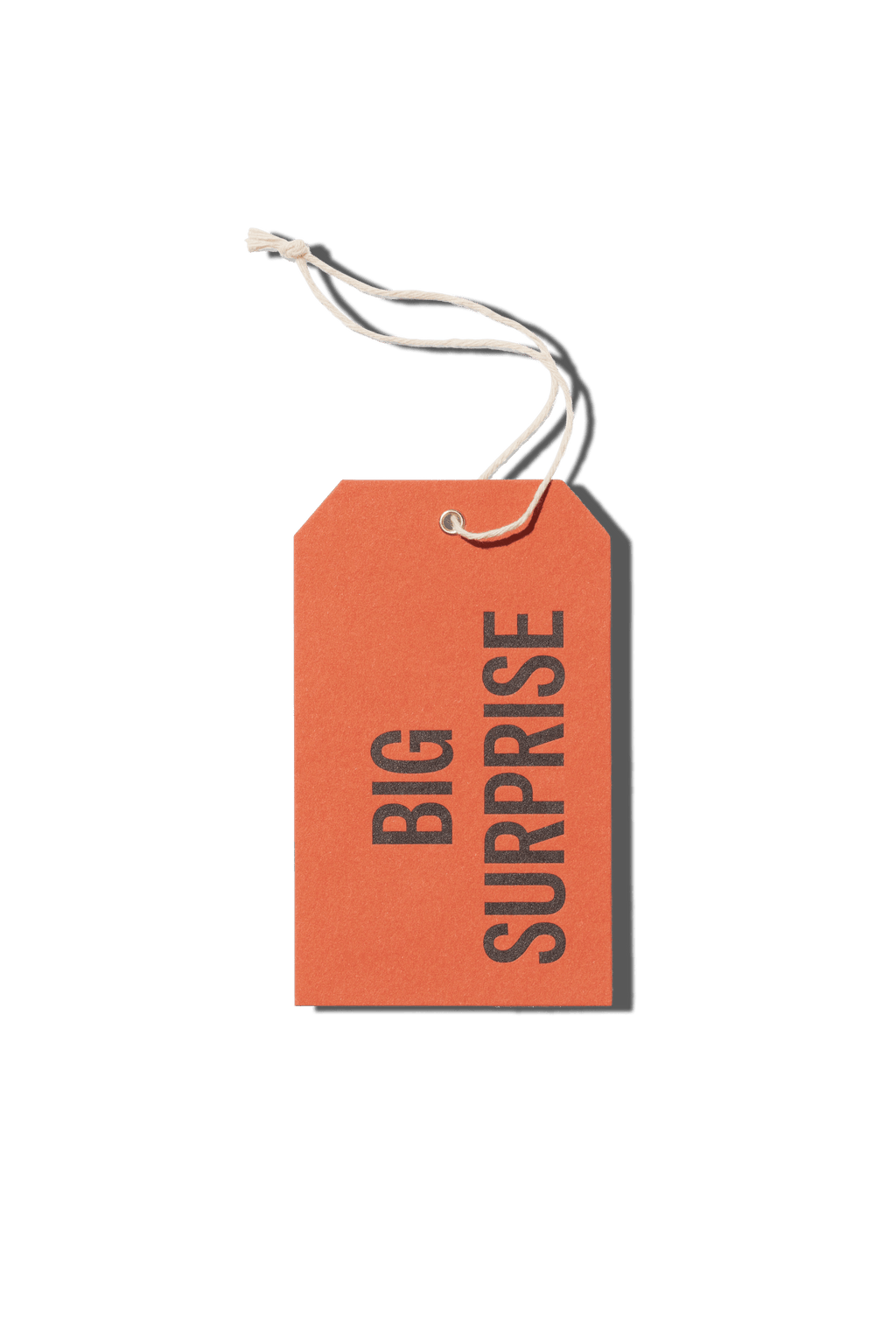 Papier Royal - Big Surprise Hang Tag - Papier Royal