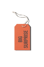 Papier Royal - Big Surprise Hang Tag - Papier Royal