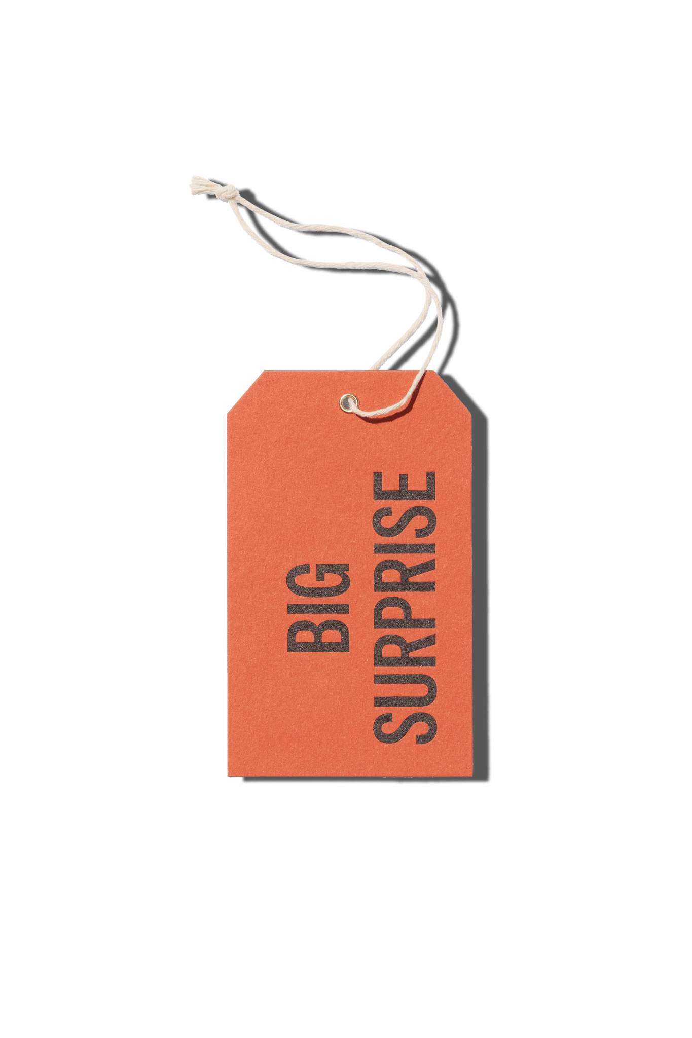 Papier Royal - Big Surprise Hang Tag - Papier Royal