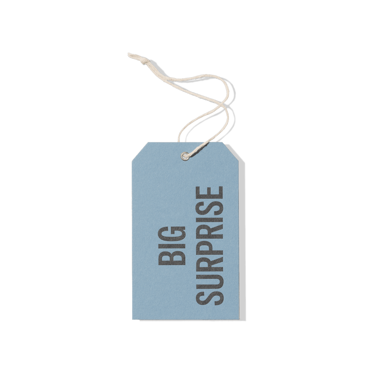 Papier Royal - Big Surprise Hang Tag - Papier Royal