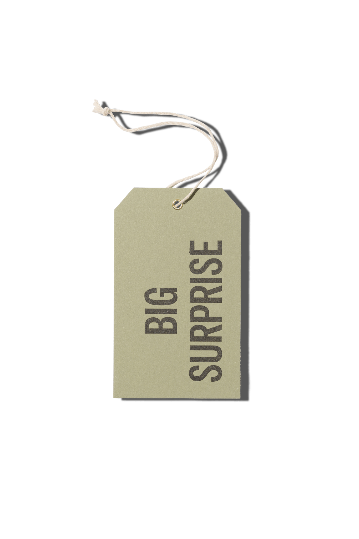 Papier Royal - Big Surprise Hang Tag - Papier Royal