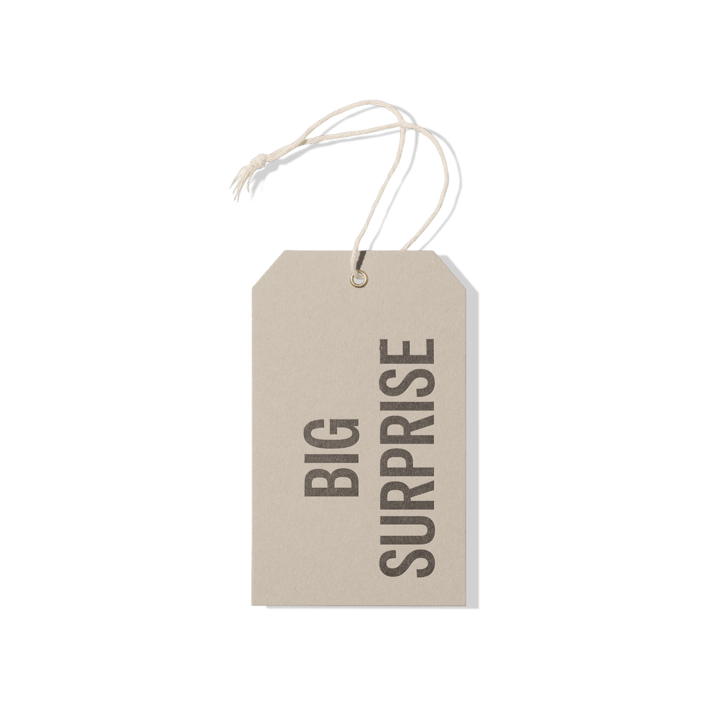 Papier Royal - Big Surprise Hang Tag - Papier Royal