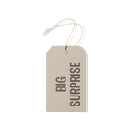 Papier Royal - Big Surprise Hang Tag - Papier Royal