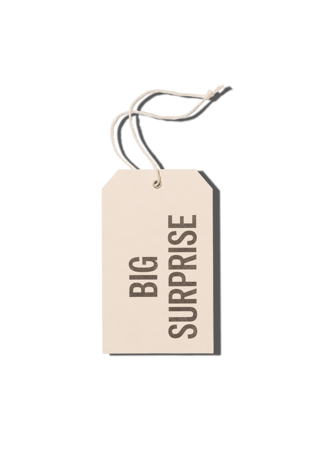 Papier Royal - Big Surprise Hang Tag - Papier Royal