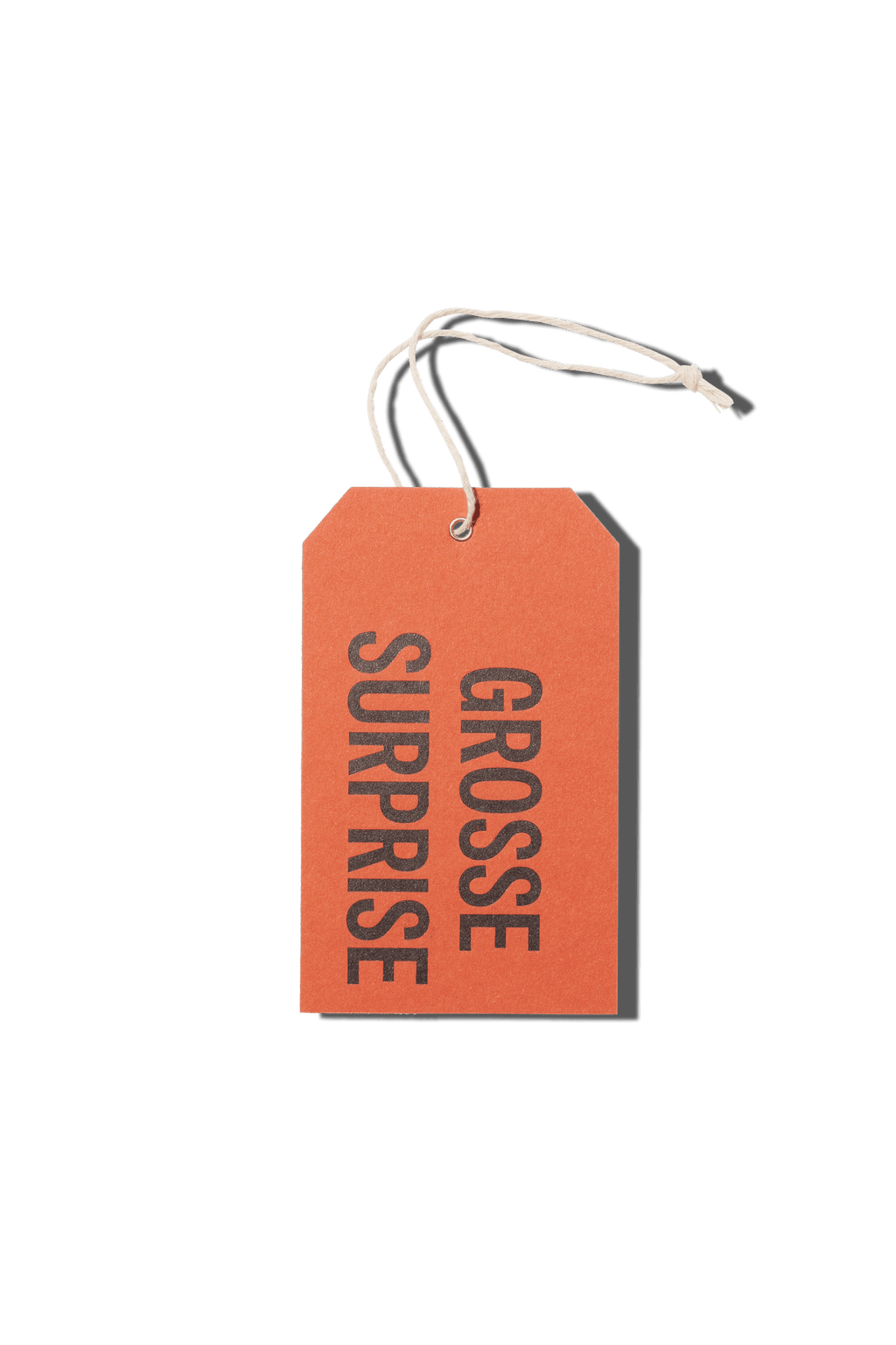 Papier Royal - Big Surprise Hang Tag - Papier Royal