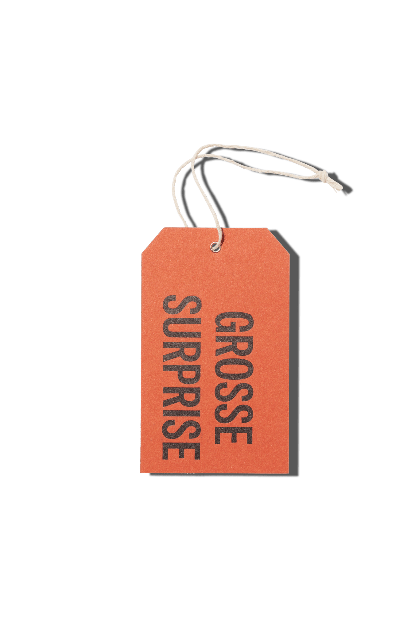 Papier Royal - Big Surprise Hang Tag - Papier Royal
