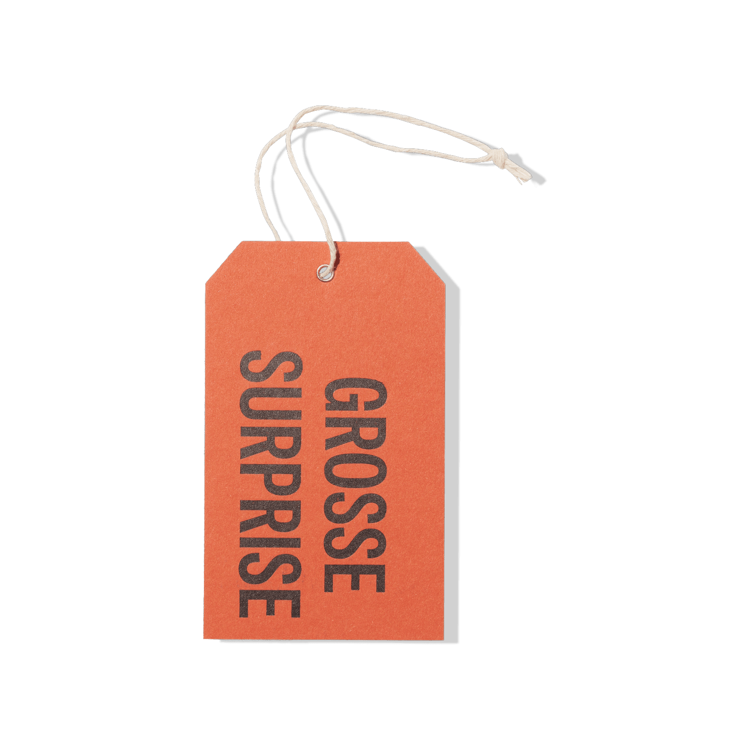 Papier Royal - Big Surprise Hang Tag - Papier Royal