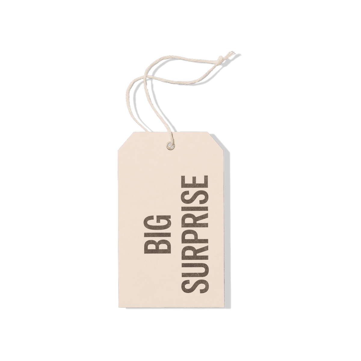 Papier Royal - Big Surprise Hang Tag - Papier Royal