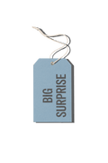 Papier Royal - Big Surprise Hang Tag - Papier Royal