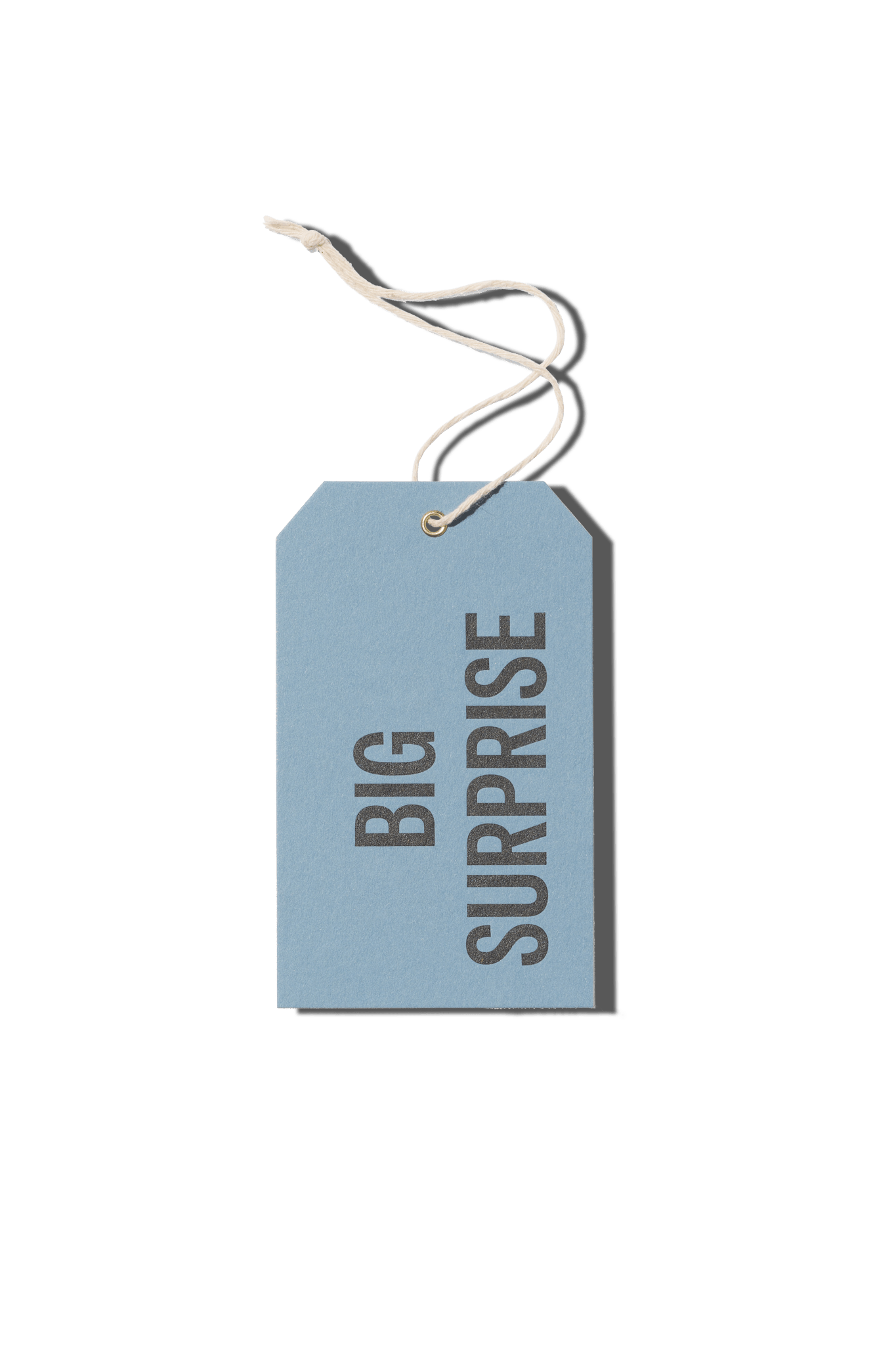 Papier Royal - Big Surprise Hang Tag - Papier Royal