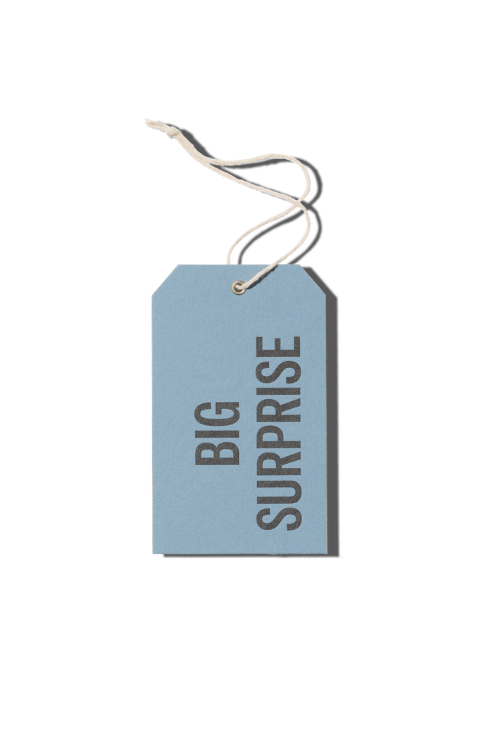 Papier Royal - Big Surprise Hang Tag - Papier Royal