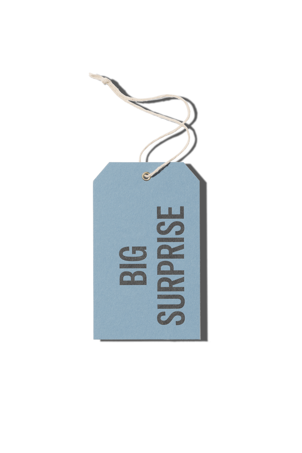 Papier Royal - Big Surprise Hang Tag - Papier Royal