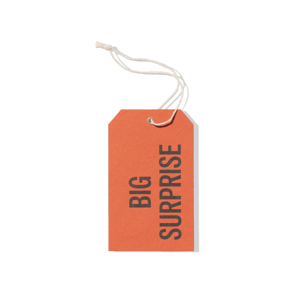Papier Royal - Big Surprise Hang Tag - Papier Royal