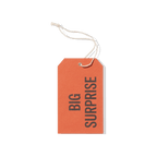 Papier Royal - Big Surprise Hang Tag - Papier Royal