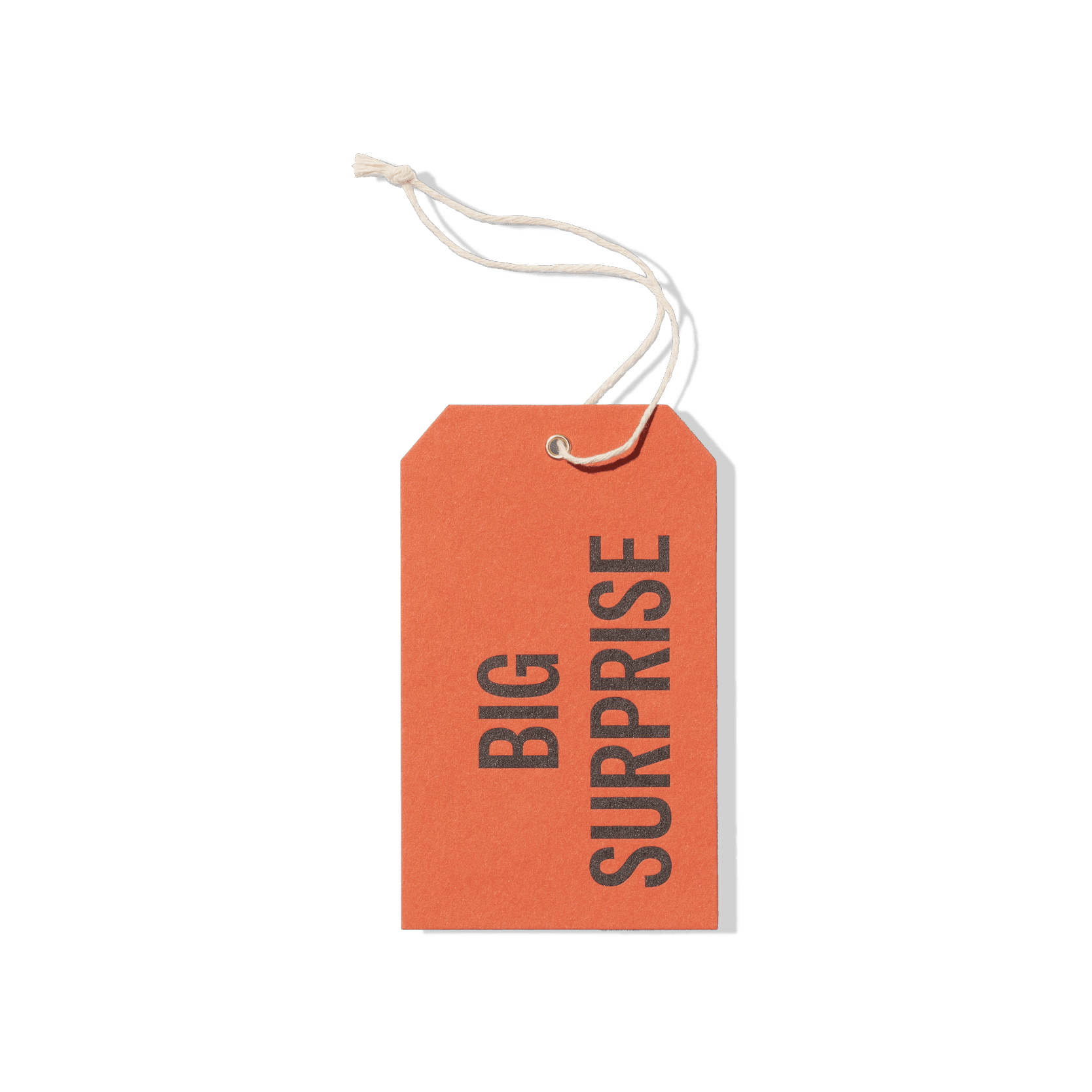 Papier Royal - Big Surprise Hang Tag - Papier Royal