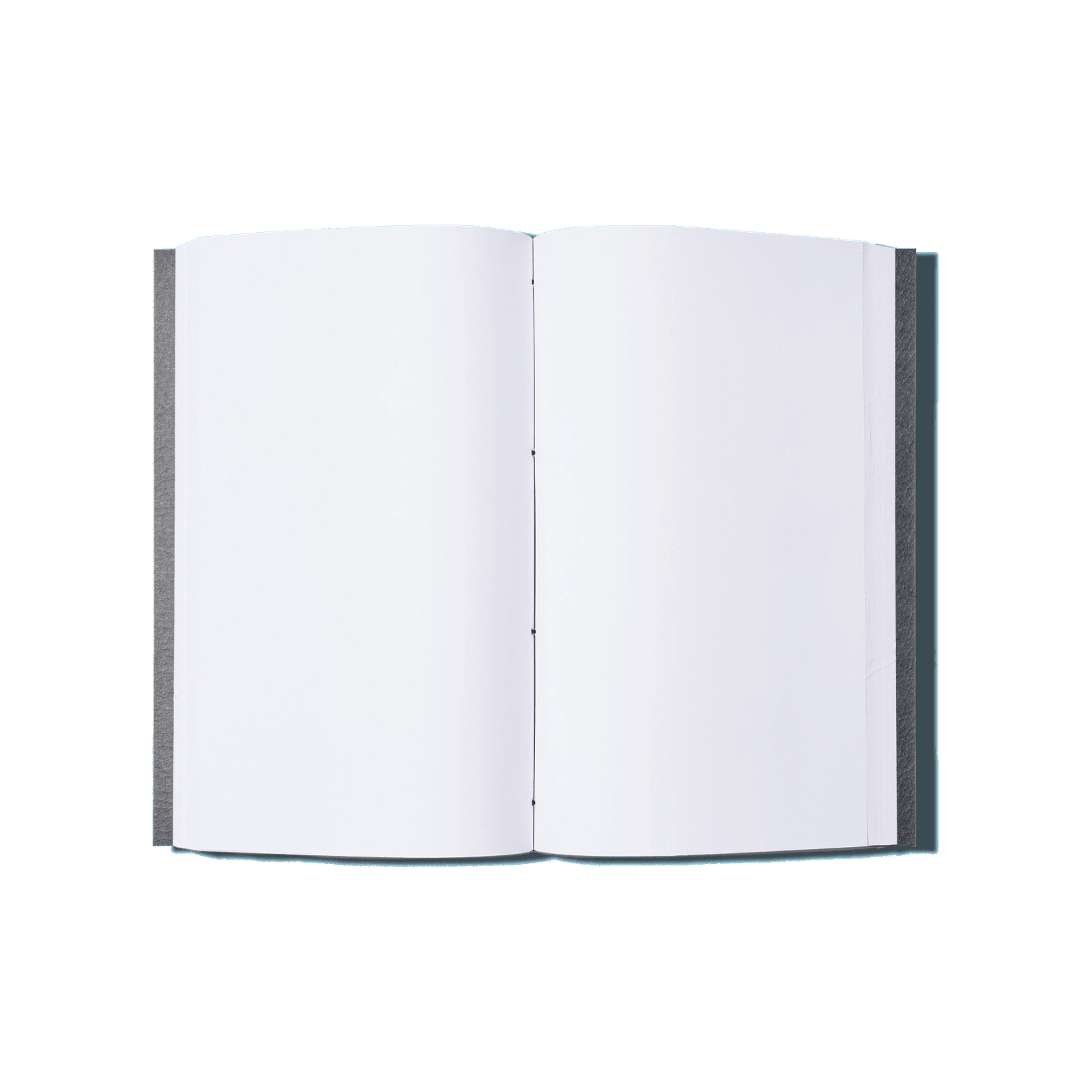Papier Royal - Large Japanese Notebook Blank (200 pages) - Papier Royal