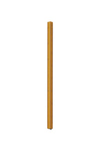 Penco - Penco Drafting Scale - Papier Royal
